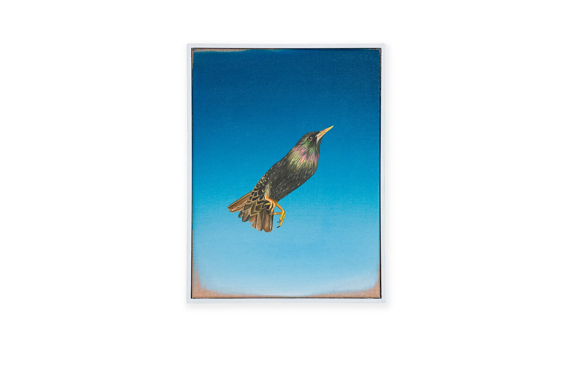 starling, 2022, oil on linen, 40 x 30 cm